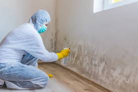 Why You Should Choose Our Mold Remediation Services in Benson, AZ